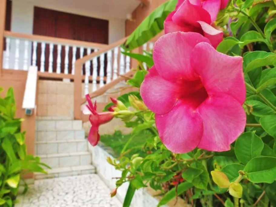 L'Appartement Sapotille Le Gosier  0*, Le Gosier (Grande-Terre) Guadeloupe